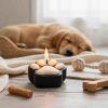 psí tlapka svíčka v prostředí 3