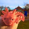 3D axolotl v prostředí