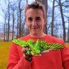 3D mládě krystalového draka s křídly v prostředí 3